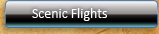 scenic flights